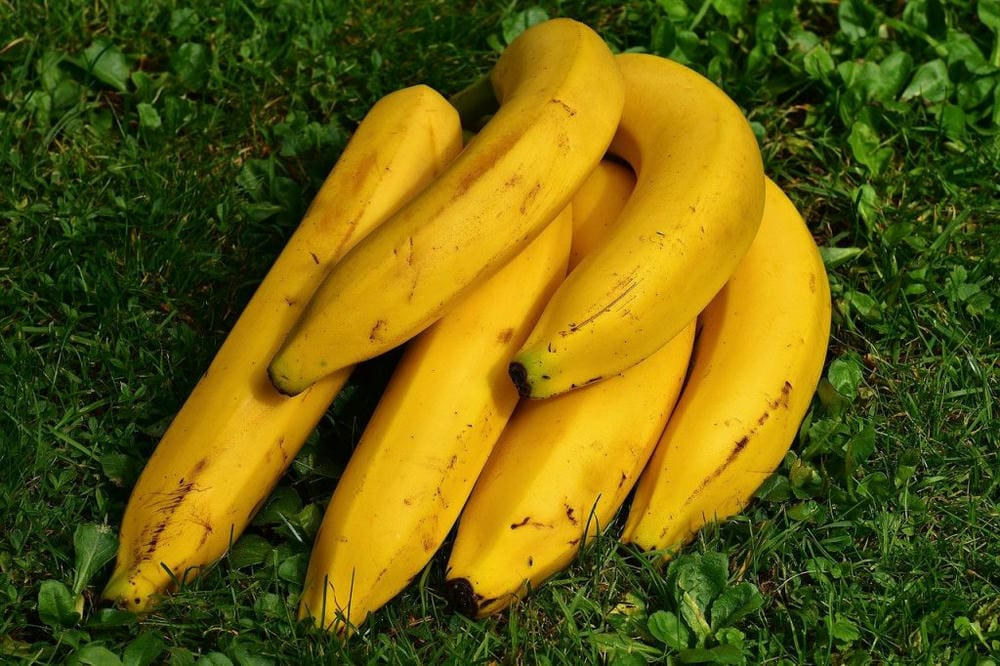 bananas-1642706_1280-1024x682